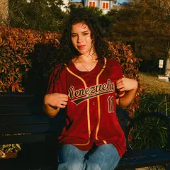 Crimson Black-Khaki Classic Style Authentic Baseball Jersey 2