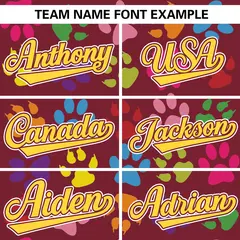 Crimson Gold-White Paw Prints Graffiti Varsity Letterman Baseball Jacket 5
