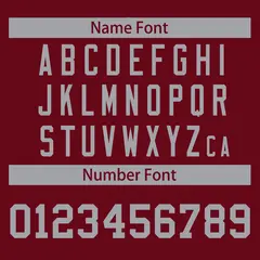 Crimson Gray Raglan Sleeves Full-Snap Varsity Letterman Jacket 6