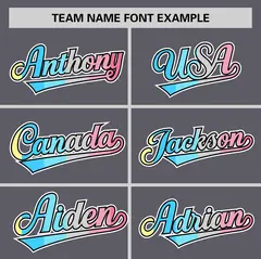 Dark Gray Genderflux Pride Month Classic Baseball Jersey 3