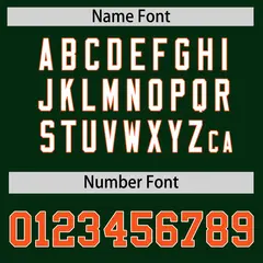 Dark Green Orange White Raglan Full-Snap Letterman Jacket Leather Sleeves 4