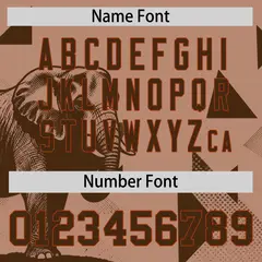 Dark Orange Coffee Raptor Series Raglan Hip Hop Baseball Jersey 5