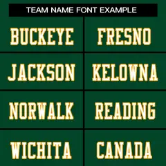 Football Jersey with Printed or Stitched Name and Number 17