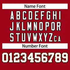 Football Jersey with Printed or Stitched Name and Number 25