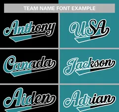 Full Button Split Baseball Jersey Team Uniform Sports Shirts 5