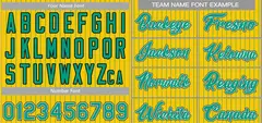 Gold Aqua-Black Stripe Fashion Baseball Jersey 3