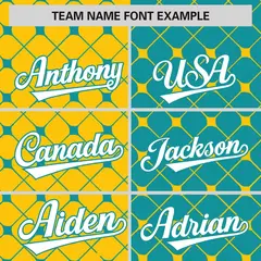 Gold Aqua Plaid Split Authentic Baseball Jersey 3