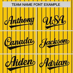 Gold Black Pinstripe Raglan Varsity Letterman Baseball Jacket 3
