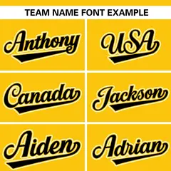 Gold Black Stripe Raglan Authentic Baseball Jersey 5