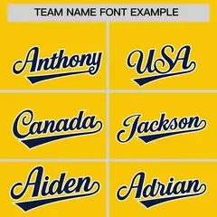 Gold Classic Authentic Baseball Jersey 3