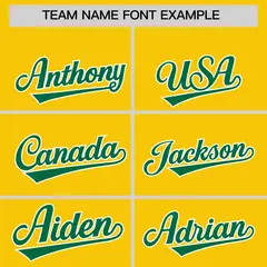 Gold Classic Authentic Baseball Jersey 3