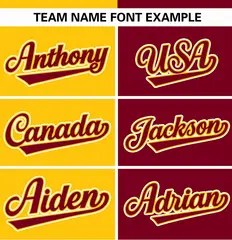 Gold Crimson Stripe-Solid Combo Authentic Baseball Jersey 3