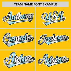 Gold Demiboy Pride Month Classic Authentic Baseball Jersey 3