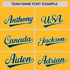 Gold Green Color Block Varsity Letterman Jacket Hoodie 5