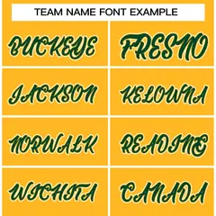 Gold Green-Gold Raglan Sleeves Varsity Full-Snap Letterman Jacket 3