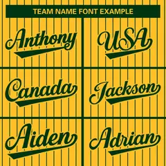 Gold Green Stripe Raglan Varsity Bomber Jacket 5