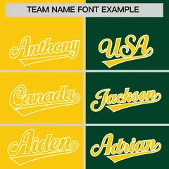 Gold Green Two Tone Full-Zip Varsity Letterman Bomber Jacket 3