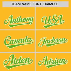 Gold Green White Gradient Raglan Varsity Letterman Jacket 3