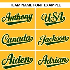 Gold Green-White Raglan Sleeves Letterman Bomber Jacket 5