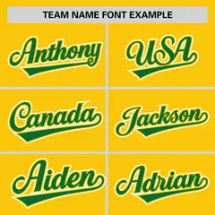 Gold Kelly Green Pinstripe Raglan Baseball Jersey 3
