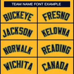 Gold Navy Gold-Aqua Classic Hockey Jersey 3