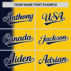Gold Navy Pinstripe Gradient Baseball Jersey 3