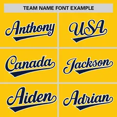 Gold Navy Raglan Pullover Authentic Baseball Jersey 3