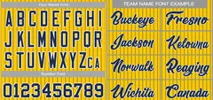 Gold Navy-White Stripe Authentic Fashion Baseball Jersey 3