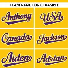 Gold Purple Stripe Raglan Authentic Baseball Jersey 3