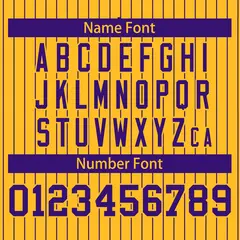 Gold Purple Stripe Raglan Varsity Bomber Jacket 6