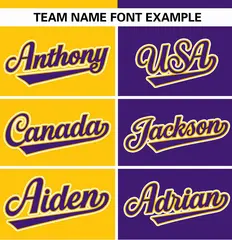 Gold Purple Stripe-Solid Combo Authentic Baseball Jersey 3