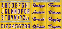 Gold Purple-White Stripe Authentic Fashion Baseball Jersey 3