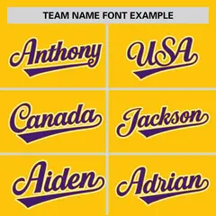 Gold Purple Zebra Graffiti Authentic Baseball Jersey 3