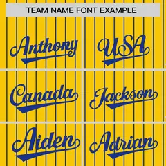 Gold Royal Pinstripe Raglan Varsity Letterman Baseball Jacket 3