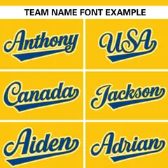 Gold Royal Stripe Raglan Sleeves Authentic Baseball Jersey 3