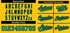 Gold Teal-Black Stripe Raglan Baseball Jersey 3