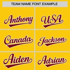 Gold White-Crimson Three Stripes Raglan Full-Snap Varsity Letterman Hoodie 5