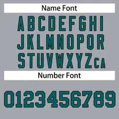 Gray Aqua-Black Classic Hockey Jersey 3