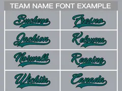 Gray Aqua-Black Classic Hockey Jersey 3