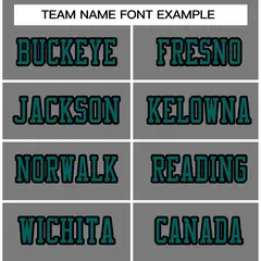 Gray Aqua-Black Classic Style Authentic Football Jersey 3