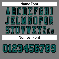 Gray Aqua-Black Classic Style Authentic Football Jersey 4