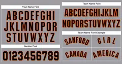 Gray Black-Orange Classic Authentic Baseball Jersey 3