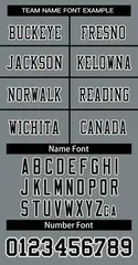 Gray Black-White Classic Style Authentic Football Jersey 5