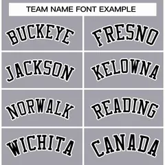 Gray Black-White Raglan Varsity Full-Snap Letterman Jacket 3