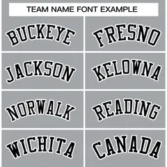 Gray Black-White Raglan Varsity Full-Snap Letterman Jacket 3