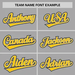 Gray Gold-Black Raglan Sleeves Authentic Baseball Jersey 3