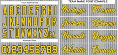 Gray Gold-Navy Stripe Authentic Fashion Baseball Jersey 3