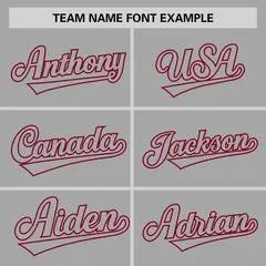 Gray Gray-Crimson Raglan Sleeves Authentic Baseball Jersey 3