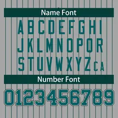 Gray Midnight Green Stripe Full Button Baseball Jersey 4