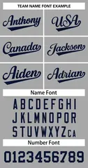 Gray Navy Classic Two-Button Softball Jersey 3